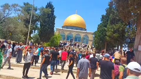 #الاقصى  #فلسطين_لبنان_سوريا_اليمن_مورتانيا 🇵🇸🇵🇸