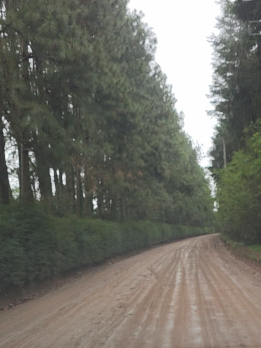 #bomdia #fe #frases #zezedecamargoeluciano #musica 