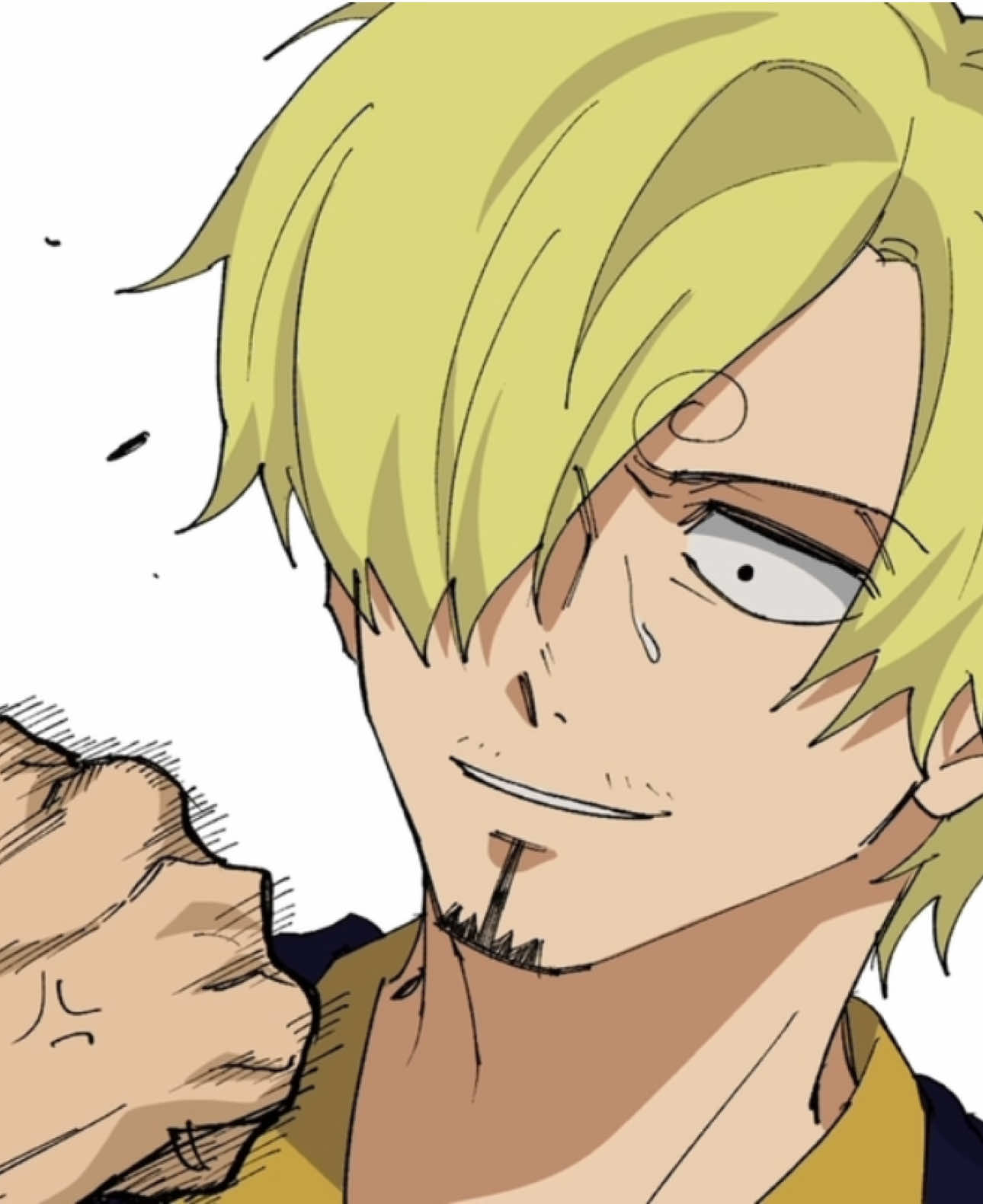 티격태격 #onepiece #op #fyp #zosan #sanzo 