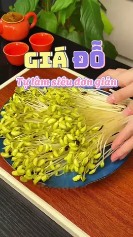 Làm giá đỗ siêu đơn giản tại nhà