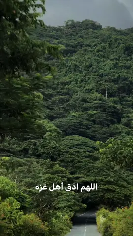 #غزة_فلسطين #الدول_العربيه #الشعب_الصيني_ماله_حل😂😂 #fyp #تصميم_فيديوهات🎶🎤🎬 الجزائر.  تونس.   ليبيا.  