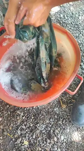 köməy eləmiyün heç Özüm eliyərəm😂😂#tiktoknews #kəşfetazərbaycan #fppp #fhypシ 