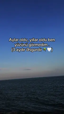 272 🌞. #RL❤️ #fyppppppppppppppppppppppp #kəşfetazərbaycan #əsgər #keşfetteyizzz 