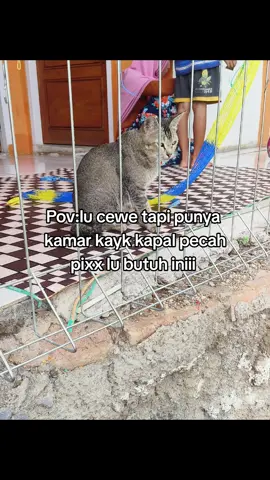 #cekkeranjangkuning 