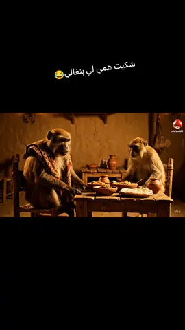 شكيت همي لي بنغالي😂#قرود #foryoupage❤️❤️ #fipシ #fipシfipシforyou #fypシ゚viral🖤tiktok 