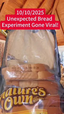 Unexpected Bread Experiment Gone Viral! #information #fyp #news #keibenet #newmexico #foryou #tiktok #story