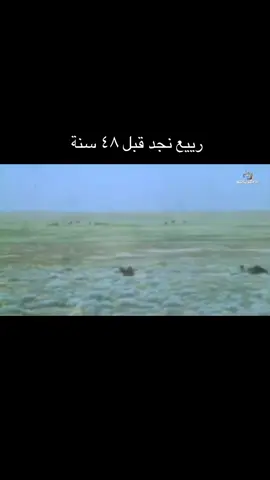 #زمان_يافن #الماضي_كان_جميل_لكنّه_مضى #قديمك_نديمك_ذكريات🌹🌹 #اكسبلورررررررررررررررررررر💥🌟💥🌟💥💥🌟🌟🌟🌟🌟 