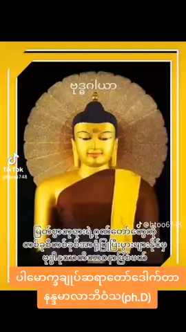 မင်္ဂလာနေ့လည်ခင်းလေးပါ🥰🥰🥰🥰🥰