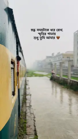 স্তব্ধ সময়টাকে ধরে রেখে, স্মৃতির পাতায় শুধু তুমি আমার 🤎 #viral #viralvideo #foryoupage #foryou 