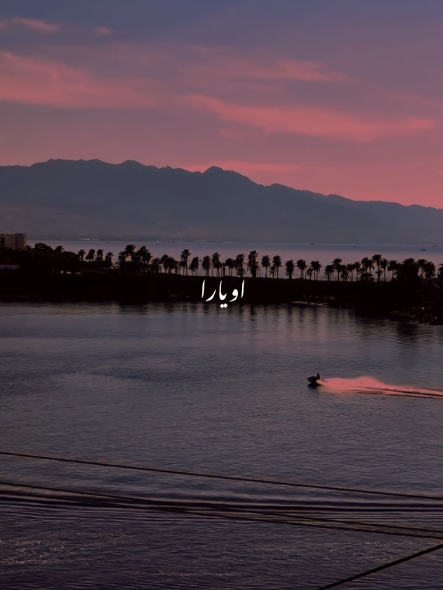 👀🫀🌸 #repostrequest #aestheticedits #viralvideo #grow #foryoupage 