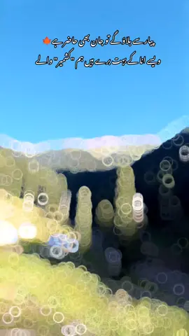 انا کے برے ہیں#viral #viralvideotiktokplzzz🥀😓🙏🙏🙏🙏 #fyyyppppp #grow ##foryou 