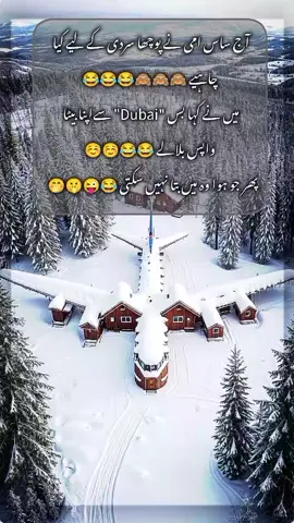 😂😜🤫🤭🫣#perdasi_zindagi #pardasi_life💕💕💕💕💕💕 #foryoupage❤️❤️ #love💕islove #100millionviews @shani Jaan 