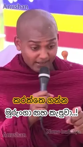 ජිවිතයට වටින කතාවක් ..!❤️🙏 #බුදුසරණයි_හැමෝටම☸️♥️🙏 #shorts #anushan #fyp #kathnoruwe_siridhamma_himi 