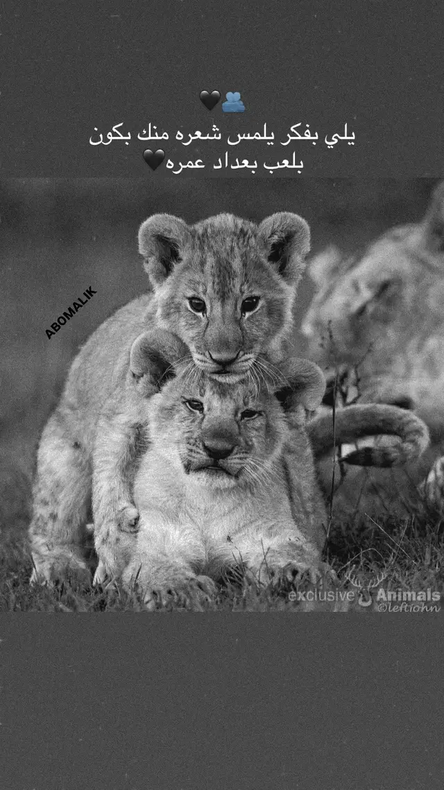 #الصقور🦅🦅💙💙💙 #المضلم #capcut #اخوك #منشن 