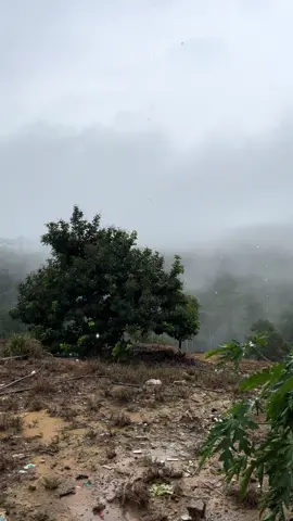 🌧️🌧️