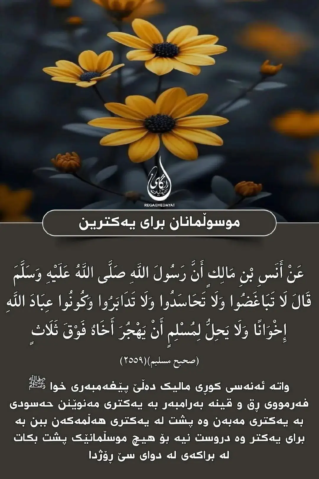 #تەنها_شوێن_قورئان_و_حەدیس_بکەون  #فەرمودەکانی_خۆشەویست  #اللهم_صل_على_محمد_وآل_محمد 