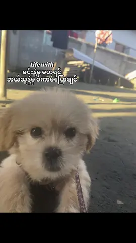 #မွေးစားသမီးလေ #fyp 