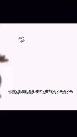 اناخلاصبرتقاله #يانجانه #برتقاله #طيور_الجنه_القديمه #viral #explore 