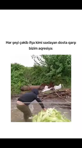 #keşfet #tutsunbu 