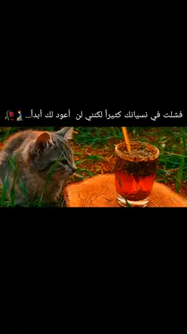 #محمد2006 #تخيل،شجرةبيها،وراق #تخيل،شجرةبيها،وراق 