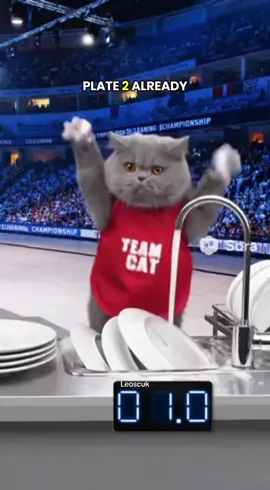 Olympic Dish Washing Finals - The Fastest Cat Alive! One fluffy athlete, one sink, ten seconds! Watch this cat race against the clock in the most intense dishwashing competition ever. Pure comedy, pure skill! #cat #ai #sora2 