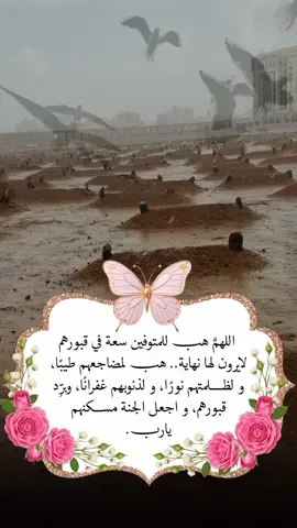 ‏اللهمَّ هب للمتوفين سعة في قبورهم لايرون لها نهاية.. هب لمضاجعهم طيبًا، ولظلمتهم نورًا، ولذنوبهم غفرانًا، وبرِّد قبورهم، واجعل الجنة مسكنهم يارب💚🤲🏻#يارب❤️ #foryou #frypgシ #foryoupage 