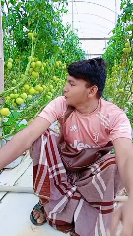 মালাইশিয়া থেকে বলছি##আসতে চাইলে বলতে পারেন..!!🇲🇾🇲🇾