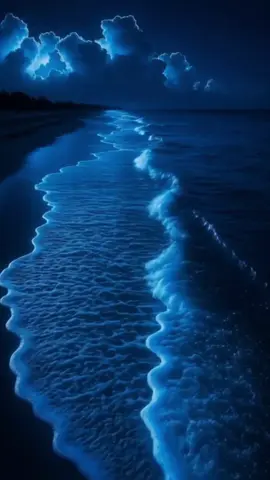 Kommst du mit? In eine Welt, in der Musik dich trägt? 💫 Ein Lied zwischen Gefühl, Freiheit und Licht. Wo Bass und Emotion eins werden. #kommstdumit #trancevibes #emotionalsound #duett #musicwithsoul 