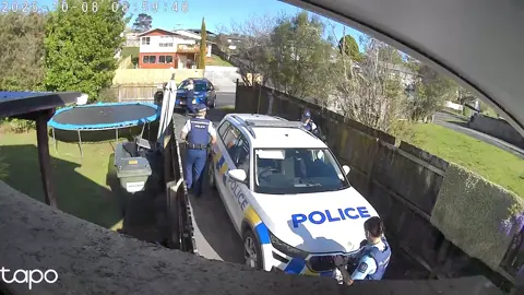 might start a series of what happening in my driveway 🤣🤣🤣 #plottwist 