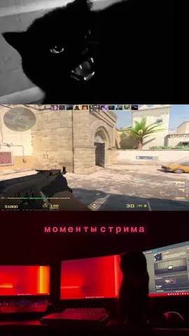 спасибо за стрим всем кто был )