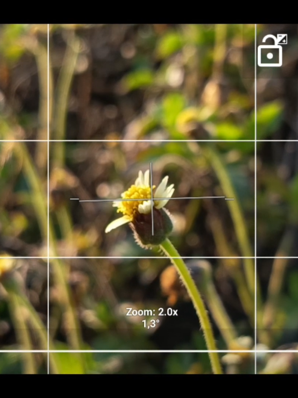 bunganya bagus ya..🗿🌿🌼 📷 RedmiNote 14 5G #cinematic #colorgrading #nature #aesthetic #cinematicvideo 