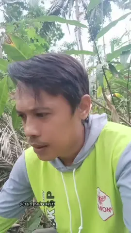 Bingung memikirkan #komedi  #dagelan #parodi #kocak #maspailun