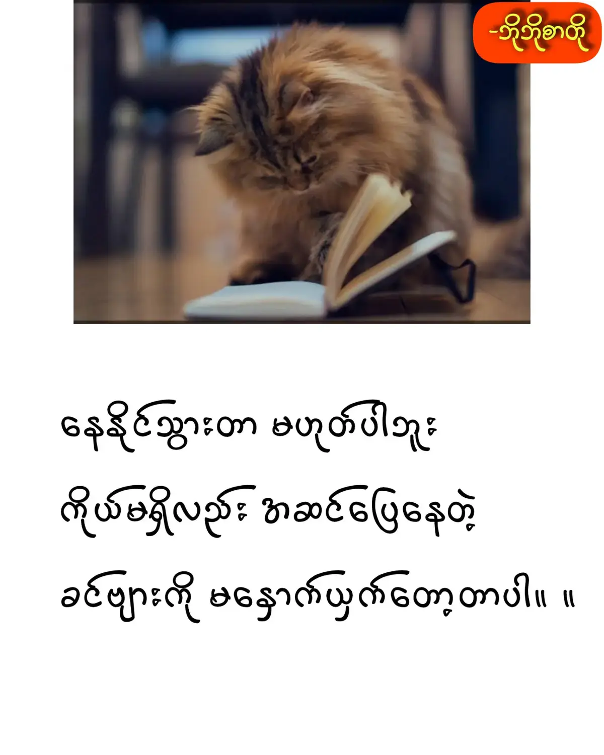 #ဘိုဘိုစာတို🖋🖋  #ကဗျာတိုများ💔🥀  #fpyシ #fpyyyyyyyyyyyyyyyyyyyyyy  #မင်းတို့ပေးမှ❤ရမဲ့သူပါကွာ 