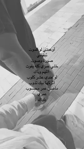 تبقالـي صورة و صـوت ❣️. #محمد_عبد_الجبار #مصطفى_الربيعي #foryou #fyp 