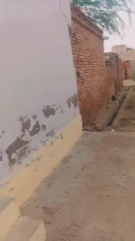 Senorita😅😆#Faryou #viralvideo #viewsproblem #fyppppppppppppppppppppppp #100kviews 