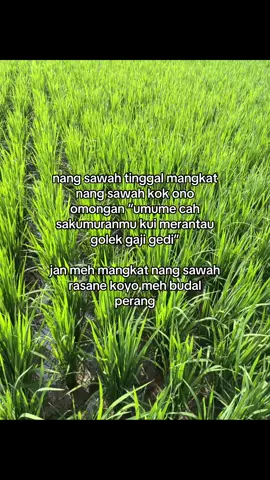 seni hidup didesa