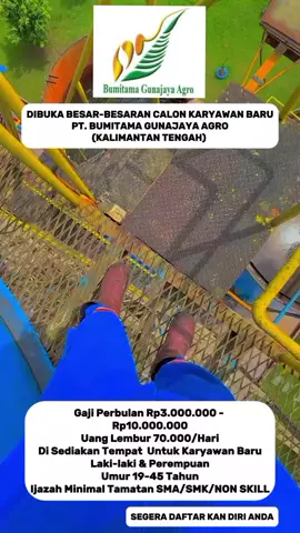 DIBUKA BESAR-BESARAN CALON KARYAWAN BARU PT. BUMITAMA GUNAJAYA AGRO (KALIMANTAN TENGAH)  Gaji Perbulan Rp3.000.000 -  Rp10.000.000 Uang Lembur 70.000/Hari Di Sediakan Tempat  Untuk Karyawan Baru Laki-laki & Perempuan Umur 19-45 Tahun Ijazah Minimal Tamatan SMA/SMK/NON SKILL #ptbumitamagunajayaargo #lowongankerja #sawitkalimantan #tiktoksawit #masukberandafyp 