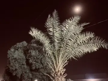 #شمسين_محمدعبدالجبار #خلودي_العطيه #عباراتكم_الفخمه📿📌 #شعراء_وذواقين_الشعر_الشعبي🎸 #عباراتكم💔💔؟ 