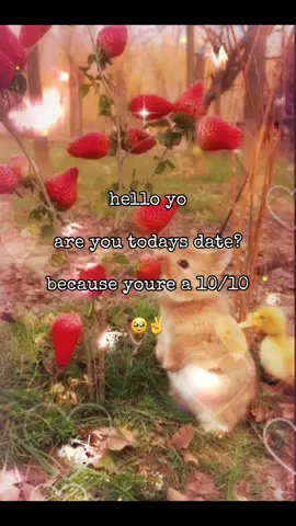 goodmorning my friend #tiktok #fyp #xyzbca #bunnytok #niche 