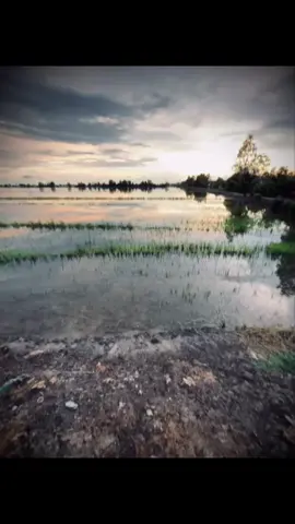 微笑可以隐藏悲伤,但眼神却无法掩饰内 心的变化。