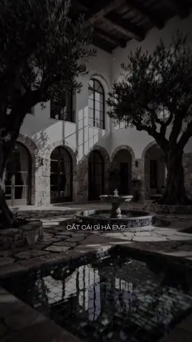 Anh ơi em cất đi đâu bây giờ? #cucmanh #lunyentertainment #buonthatday #sofia #capcut #capcutpioneer #pioneertemplate 
