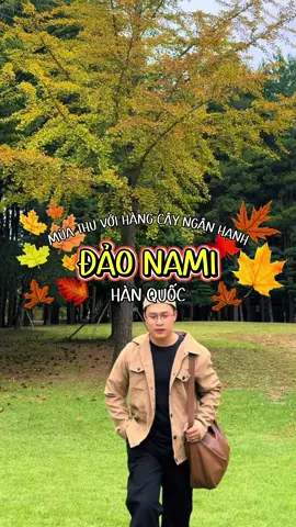 Mùa thu trên đảo Nami Hàn Quốc có gì?🍂🍃 #homnaydidau #daonami #hanquoc #tulangthang #caynganhanh 