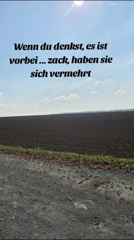#CapCut #humor #ohrwurm #pilze #freude 