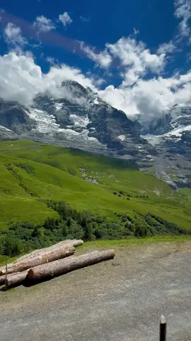 Beauty of Nature in Switzerland 🇨🇭🏔️🌋🏜️🏕️⛺️🚞#switzerland #shahrukhkhan #سویس #شاروخان #train 