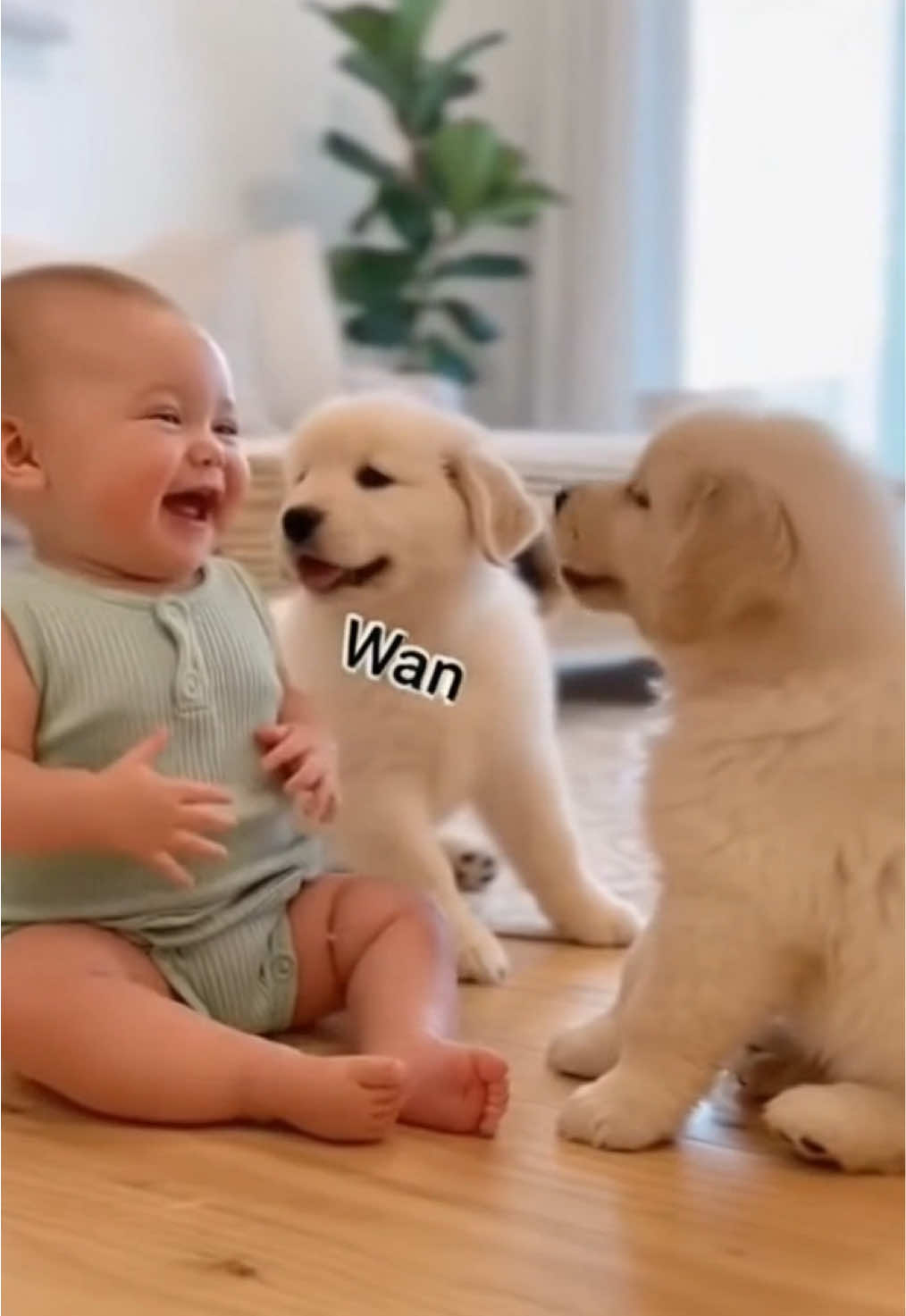 犬と赤ちゃんがいる生活🐶👶 #dog #baby #ai #癒し動画 #ほっこり 