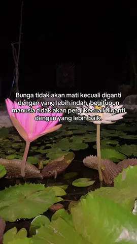 #psht #pshtpusatmadiun #terate #pshtstory #fypシ゚ #4u 