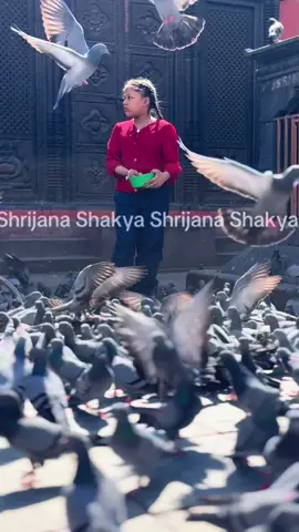 #formerkumari #kumari #trishna #srizna 