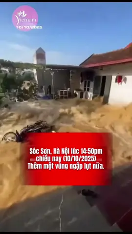 Sóc Sơn, Hà Nội lúc 14:50pm chiều nay (10/10) 🥹 Thêm một vùng ngập lụt nữa 🙁  Video từ Hoàng Long Vinh 🚨CẬP NHẬP TÌNH HÌNH MƯA BÃO⁉️ 10/10/2025