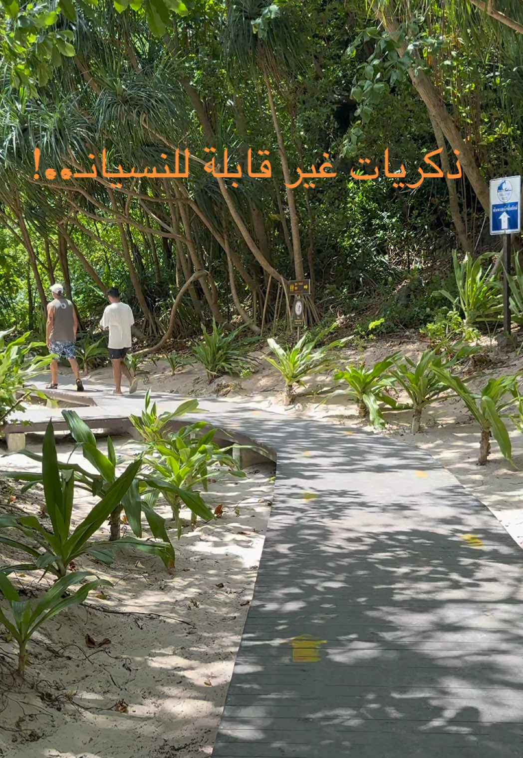 #thailand🇹🇭 #viral #تايلاند #phiphiisland ##بوكيت 
