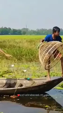 @—̳͟͞✰𝐍𝐕𝐁.𝟏𝟗𝟗𝟏 #nvb..1991#phongcanhthiennhien #tancogiaoduyen #tanco 